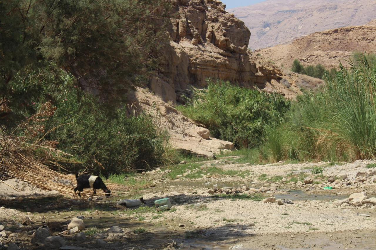Wadi Al-Hassa Camp Hotell Khawkhah Exteriör bild