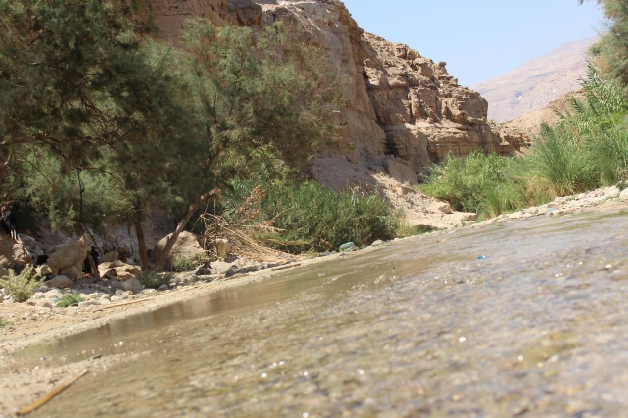 Wadi Al-Hassa Camp Hotell Khawkhah Exteriör bild