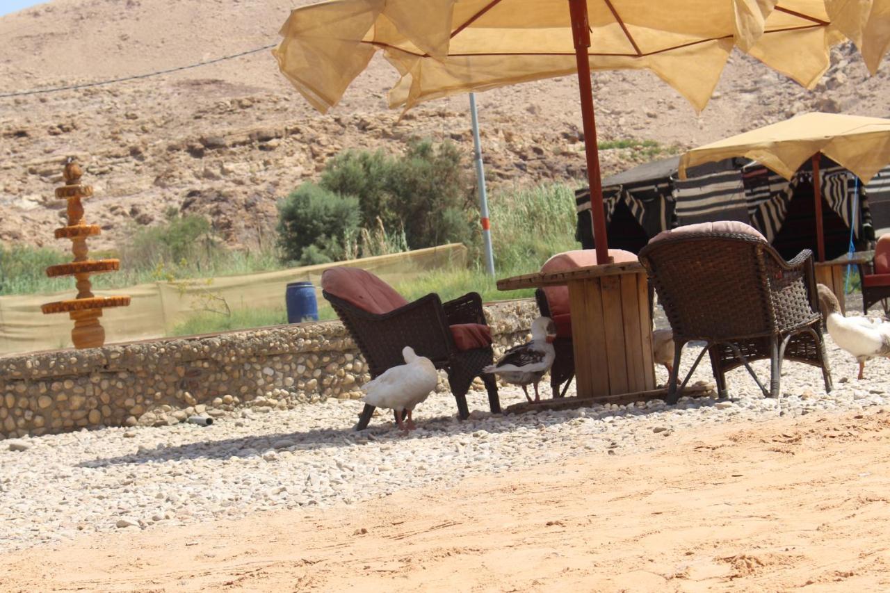 Wadi Al-Hassa Camp Hotell Khawkhah Exteriör bild