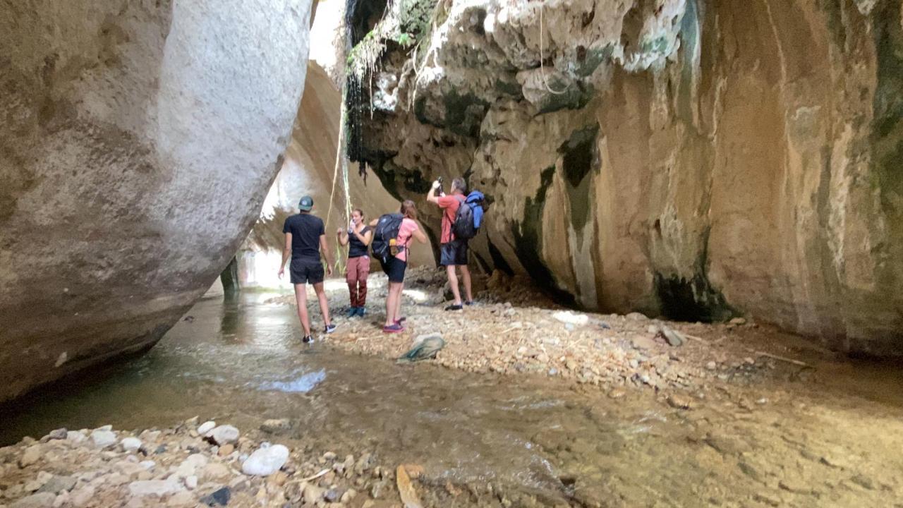 Wadi Al-Hassa Camp Hotell Khawkhah Exteriör bild