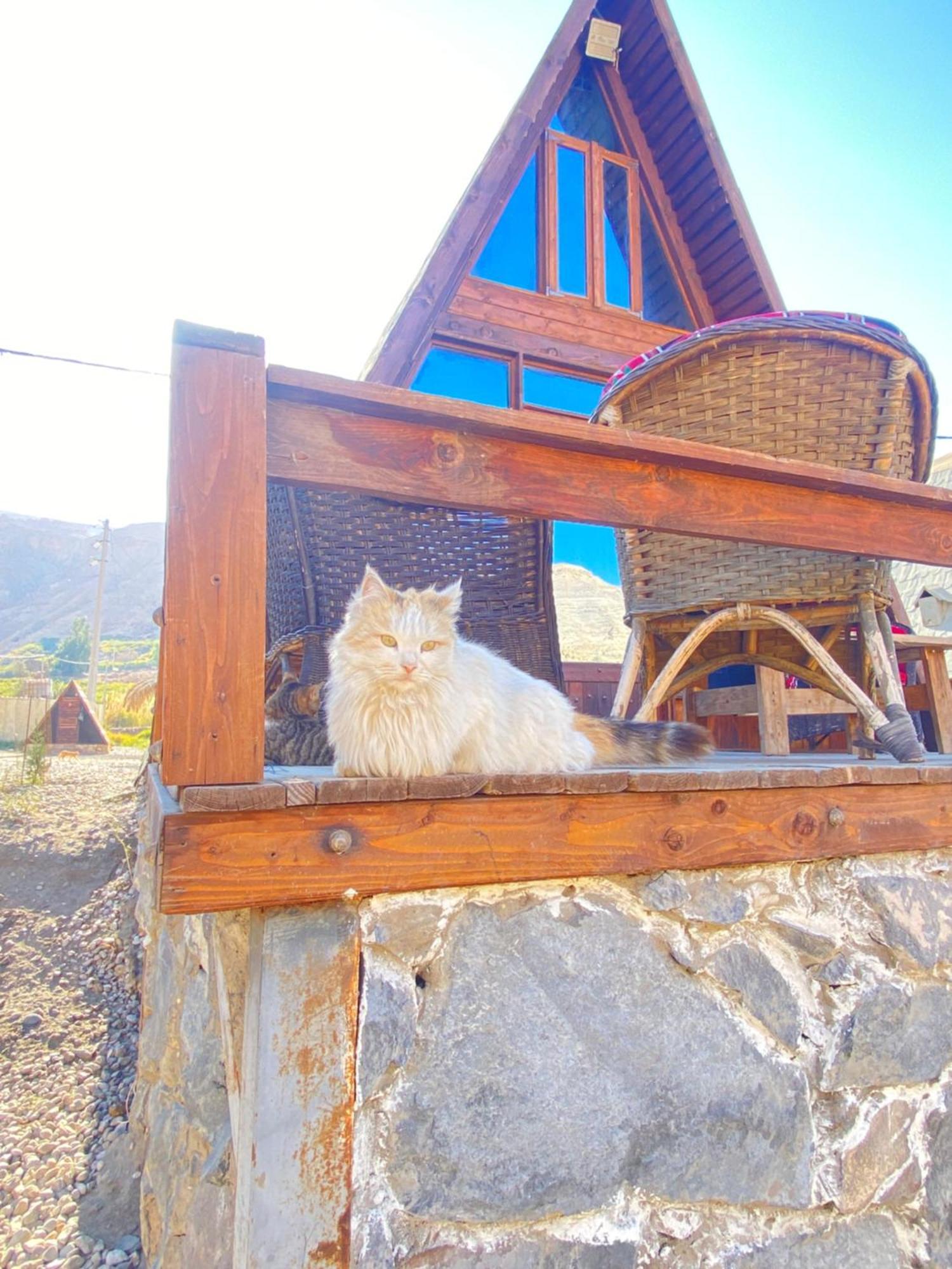Wadi Al-Hassa Camp Hotell Khawkhah Exteriör bild